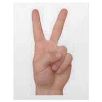 Peace! letterhead
