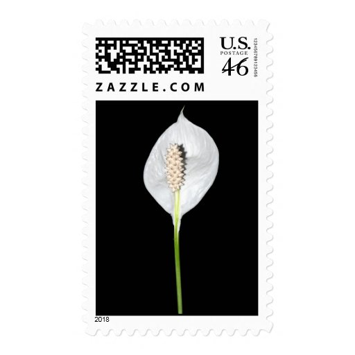 Peace Lily Postage