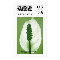 Peace Lily Postage Stamp