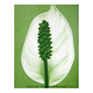 Peace Lily Poster print