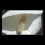Peace Lily Sticker
