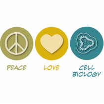 Peace Love Cell Biology photo sculptures