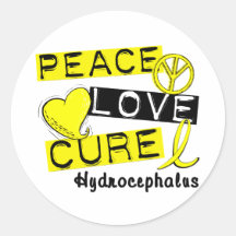 Peace Love Cure Hydrocephalus Stickers