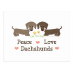 Peace Love Dachshunds Postcard