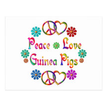 PEACE LOVE GUINEA PIGS POST CARD
