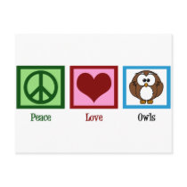 Peace Love Owls Post Card