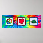 Peace, Love, Turtles Poster