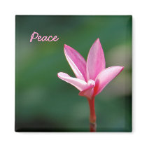 Peace Magnet by pulsDesign Peace Magnet