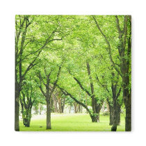 Peace Of Green magnets