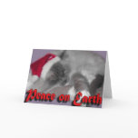Peace on Earth Cards