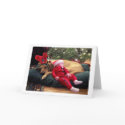 Peace on Earth cards by sylvan Peace on Earth cards