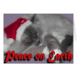 Peace on Earth Cards