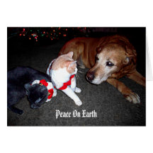 Peace On Earth Cards
