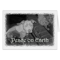 Peace on Earth Christmas card (Pit Bull) cards