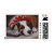 beagle, kitten, cat, christmas, holiday, dog,