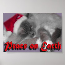 Peace on Earth Print