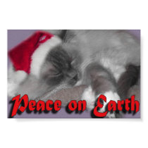 Peace on Earth posters