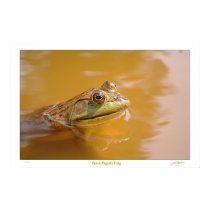 Peace Pagoda Frog posters by Zen0 Peace Pagoda Frog posters