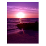 Peace Post Card