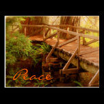 Peace postcards