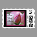 Peace Postage stamps