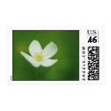 Peace postage by visionscape360 Peace postage