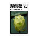 Peace postage