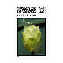 Peace postage