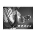 peace postcards by tkkowalski peace postcards