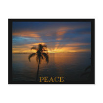 PEACE postcards by akiliking PEACE postcards