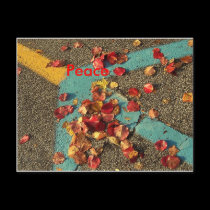 Peace postcards