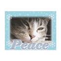 Peace postcards by 3kitty Peace postcards
