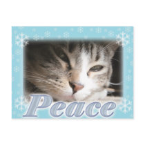 Peace postcards