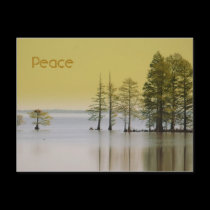 Peace postcards