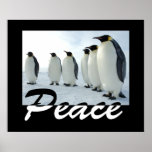 Peace posters