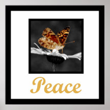 Peace Posters