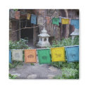 PEACE PRAYER FLAGS AT TEMPLE magnets