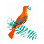 Peace Red Bird Post Cards
