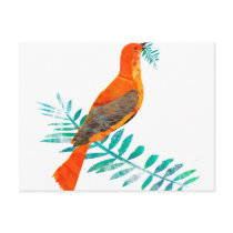 Peace Red Bird postcards by happytwitt Peace Red Bird postcards