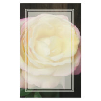 Peace Rose Blank Stationery
