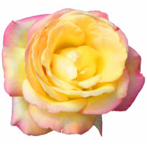 Peace Rose Photo Sculpture