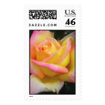Peace Rose postage