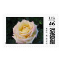 Peace Rose postage by charlesblack7 Peace Rose postage
