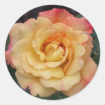 Peace Rose Sticker