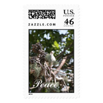 Peace Stamp