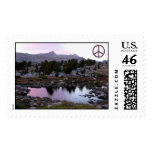 Peace Stamp