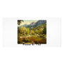 Peace to You! Personalized Photo Card