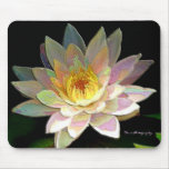 "Peace" Water Lily Mouse pad