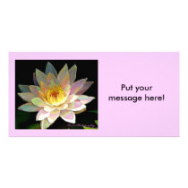 "Peace" Water Lily - Photocard by terraphotography "Peace" Water Lily - Photocard