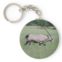 Peaceful antelope key chain
